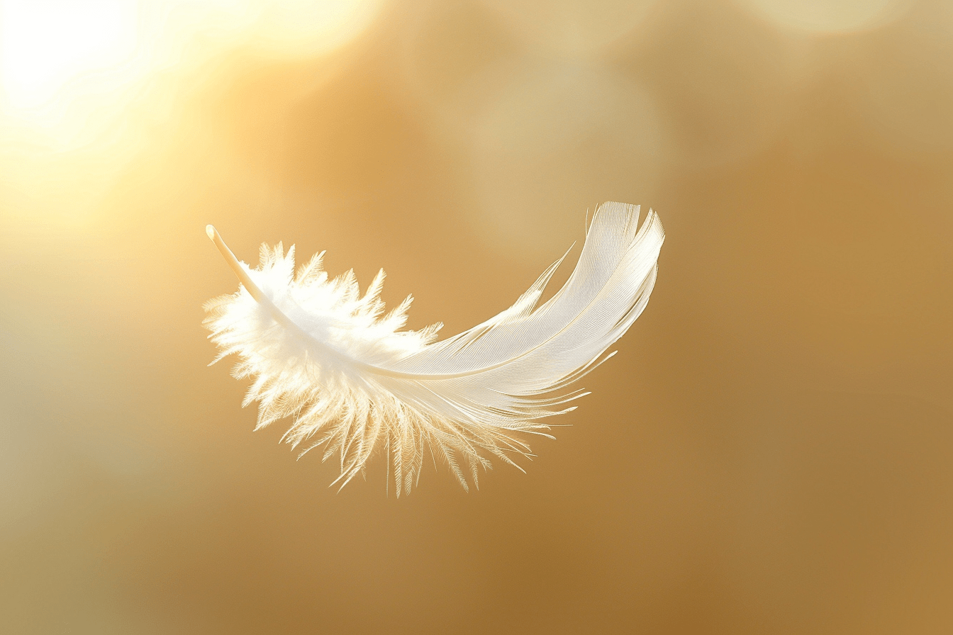 single white feather